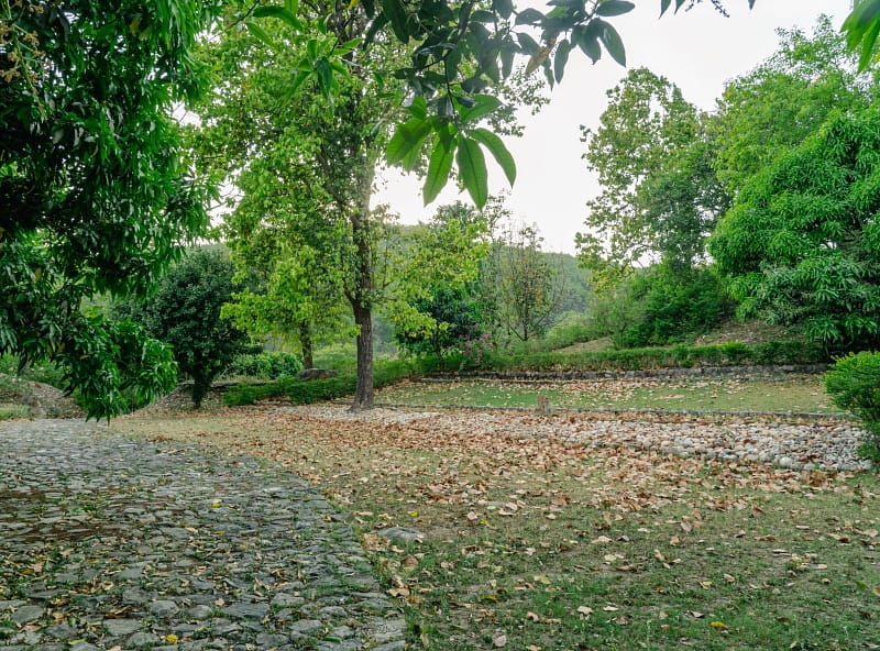 grounds